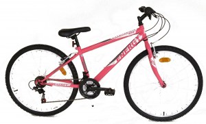 ΠΟΔΗΛΑΤΟ Energy Thunder 26" Γυναικείο - Fluo Pink/Purple 2020 DRIMALASBIKES